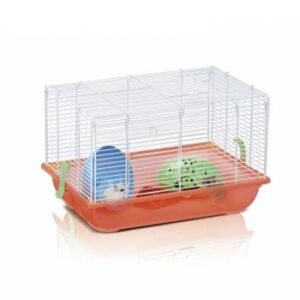 Cusca Criceti 2 Imac