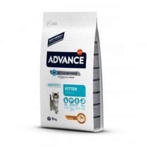 ADVANCE Kitten