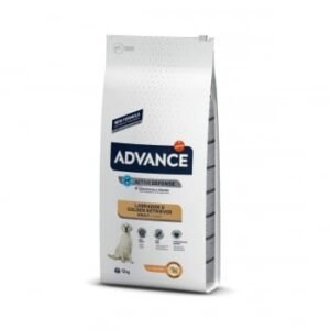 ADVANCE Labrador Retriever Adult