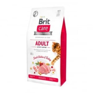 BRIT Care Adult Activity Support