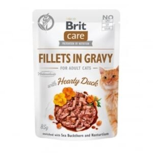 BRIT Care Fillets In Gravy