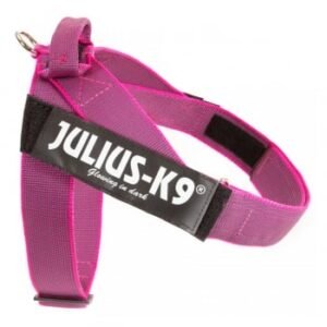 JULIUS-K9 IDC Color & Gray