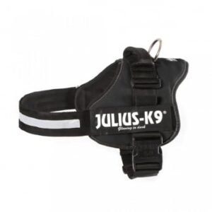 JULIUS-K9 IDC Power