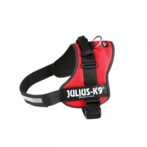 JULIUS-K9 IDC Power