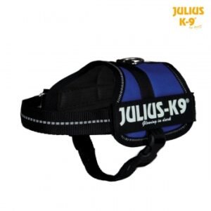 JULIUS-K9 IDC Power