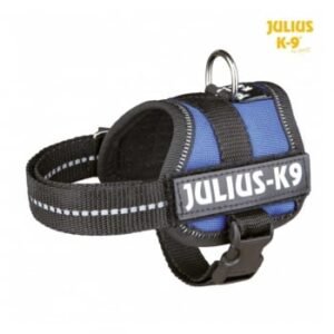 JULIUS-K9 IDC Power