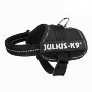 JULIUS-K9 IDC Power