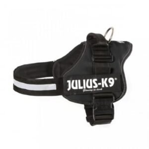 JULIUS-K9 IDC Power