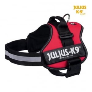 JULIUS-K9 IDC Power