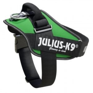 JULIUS-K9 IDC Power