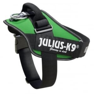 JULIUS-K9 IDC Power
