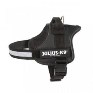 JULIUS-K9 IDC Power