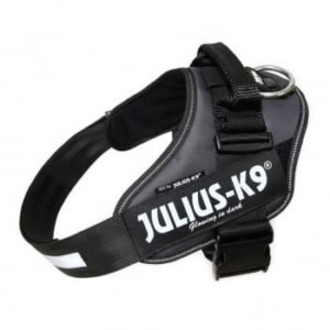 JULIUS-K9 IDC Power