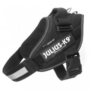 JULIUS-K9 IDC Power