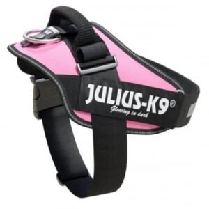 JULIUS-K9 IDC Power