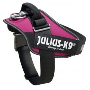 JULIUS-K9 IDC Power