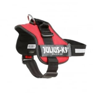 JULIUS-K9 IDC Power