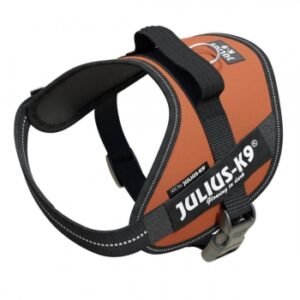 JULIUS-K9 IDC Power