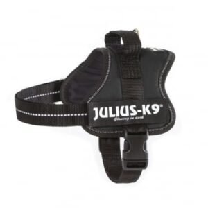 JULIUS-K9 IDC Power