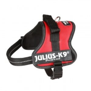JULIUS-K9 IDC Power