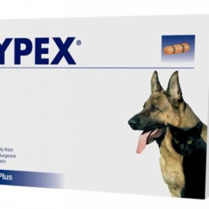 Lypex 60 capsule