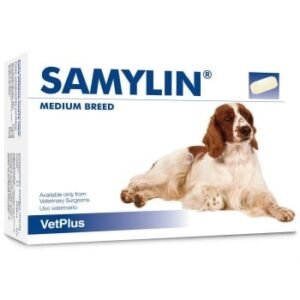 Samylin Medium Breed