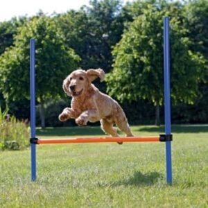 TRIXIE Agility Hurdle