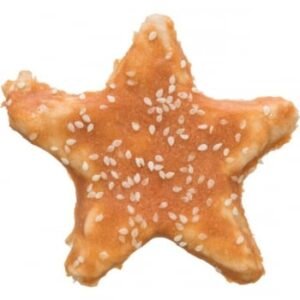 TRIXIE Christmas Denta Fun Star