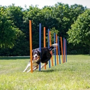 TRIXIE Agility Slalom