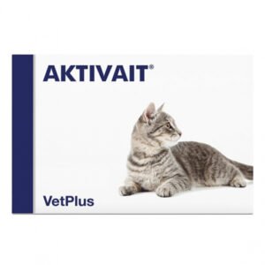 Aktivait Cat