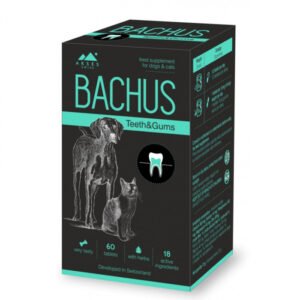 Bachus Teeth Gums