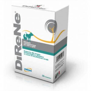 DIRENE