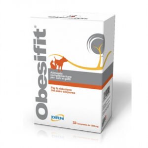 Obesifit