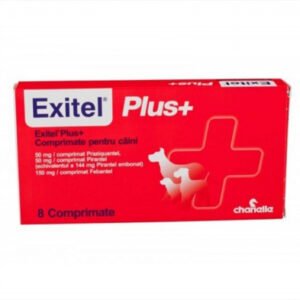 Exitel Plus Flavour