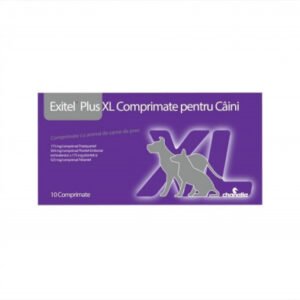 Exitel Plus XL