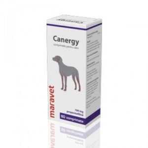 Canergy 100 mg 6 X 10 Tablete