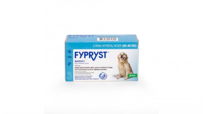 Fypryst Caine L 268 mg (20 - 40 kg)