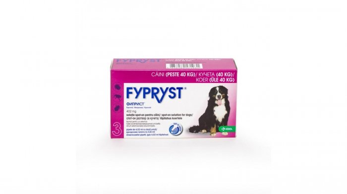 Fypryst Caine XL 402 mg (40 - 60 kg)
