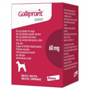 Galliprant 60mg x 30 tab