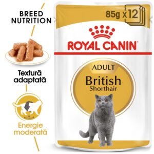 ROYAL CANIN British Shorthair 12x85g