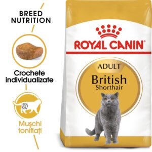 ROYAL CANIN British Shorthair Adult 34 10kg