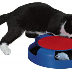 Jucarie Pisici-Circuit cu Soarece 25x6 cm