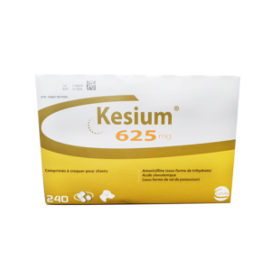 Kesium 625 mg