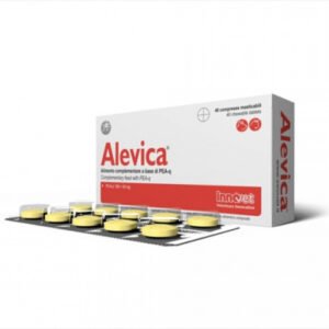 Alevica