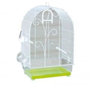 Colivie FOP Lisa Bianca