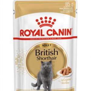 Royal Canin British Shorthair Adult hrana umeda pisica (in sos)