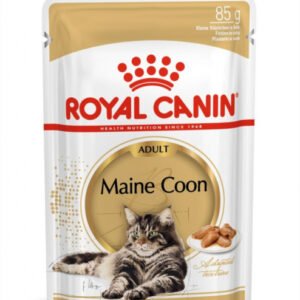 Royal Canin Maine Coon Adult hrana umeda pisica (in sos)