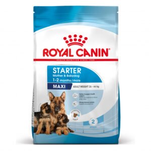Royal Canin Maxi Starter Mother Babydog