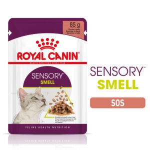 ROYAL CANIN Sensory Smell 12x85g